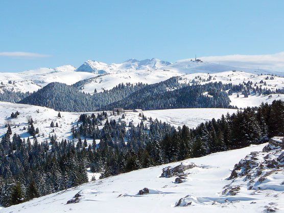 Lessinia centrale (Vr), Foresta dei Folignani.